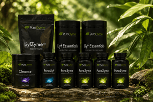 Better Digestion Starts Here: Enzymes