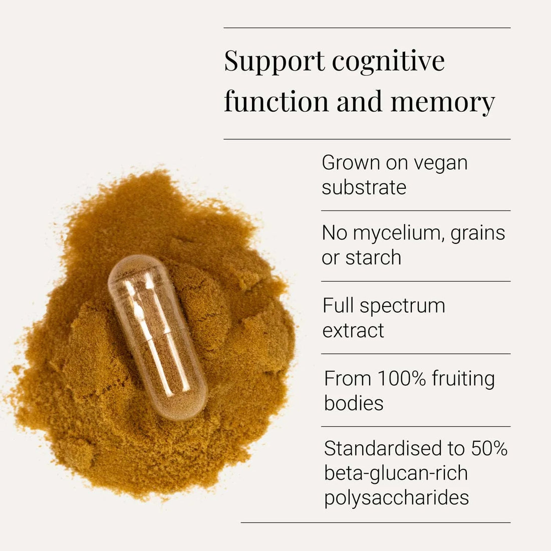 Lion's Mane Extract, Organic - 60 Vegicaps - PuraDymeUK