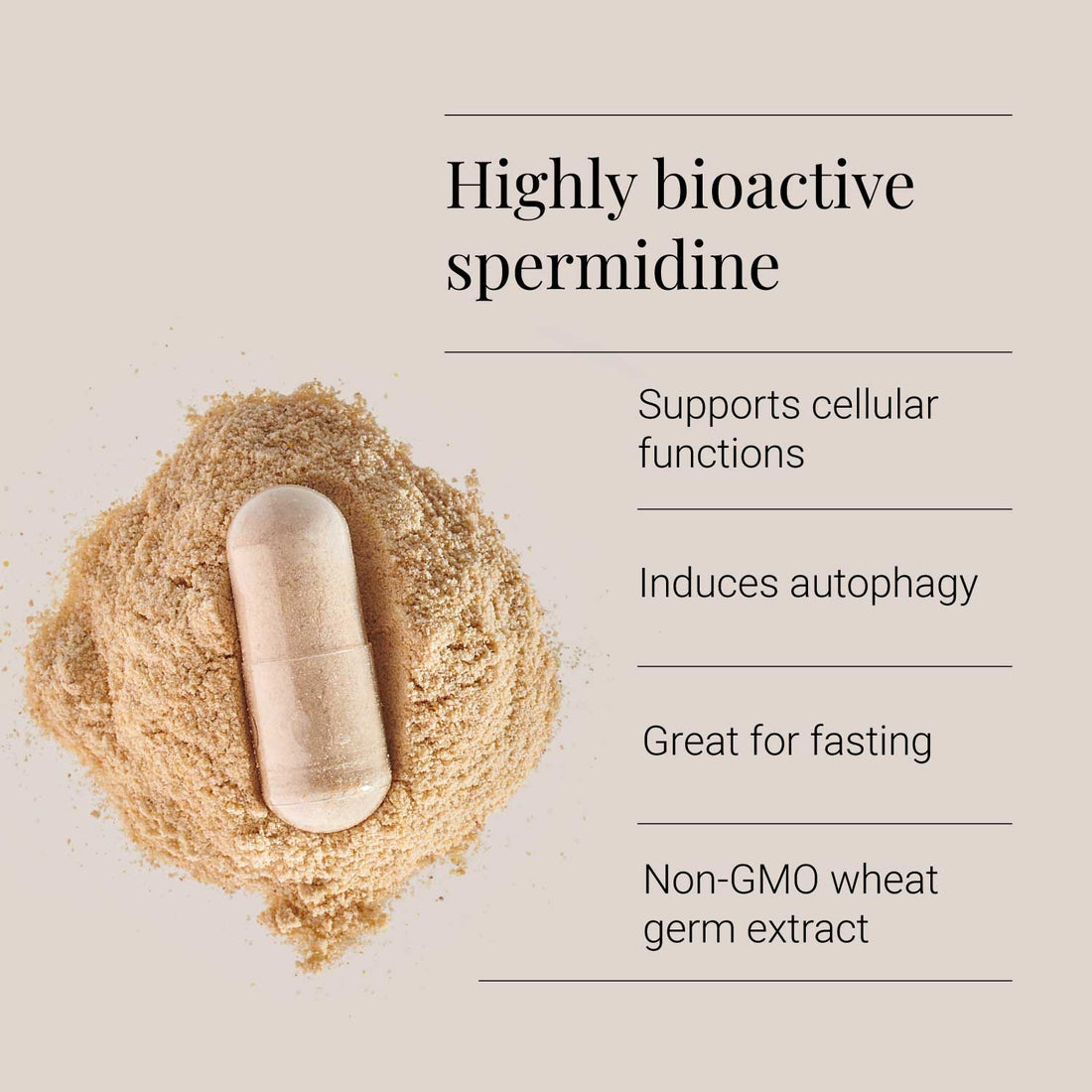 Spermidine – 60 Vegicaps - PuraDymeUK